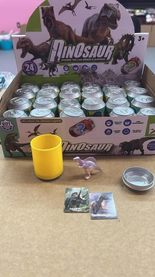 Dinosaur Mystery Cans